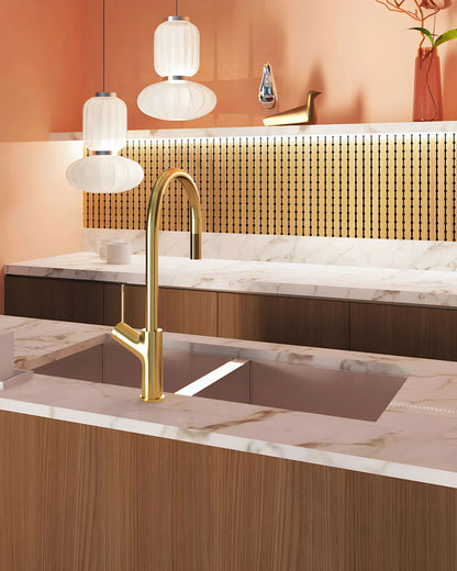 DAX Single Handle Pull Out Kitchen Faucet (DAX-8020011)
