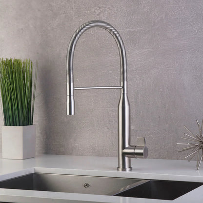 DAX Single Handle Pull Down Kitchen Faucet, Stainless Steel Shower Head and Body, Brushed Finish, Size 9-1/16 x 19-5/16 Inches (DAX-S1095A)