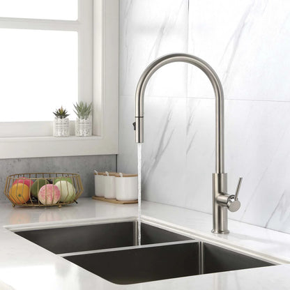 DAX Single Handle Pull Down Kitchen Faucet (DAX-8020058)