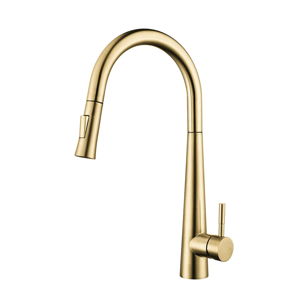 DAX Salerno Single Handle Pull Out Kitchen Faucet