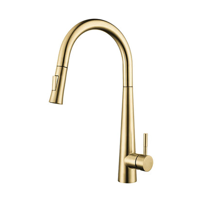 DAX Salerno Single Handle Pull Out Kitchen Faucet