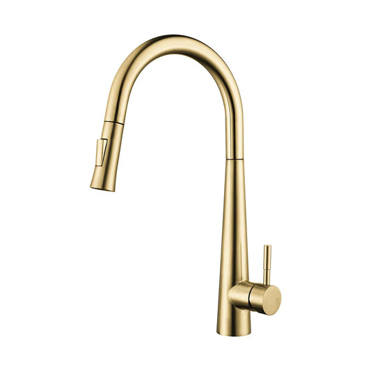 DAX Salerno Single Handle Pull Out Kitchen Faucet