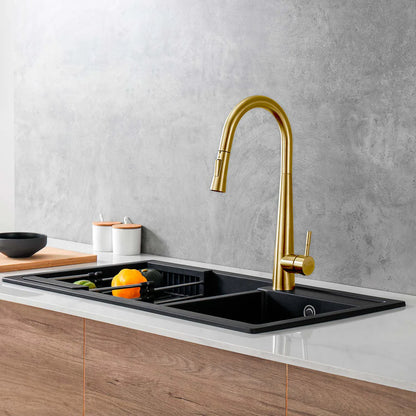 DAX Salerno Single Handle Pull Out Kitchen Faucet