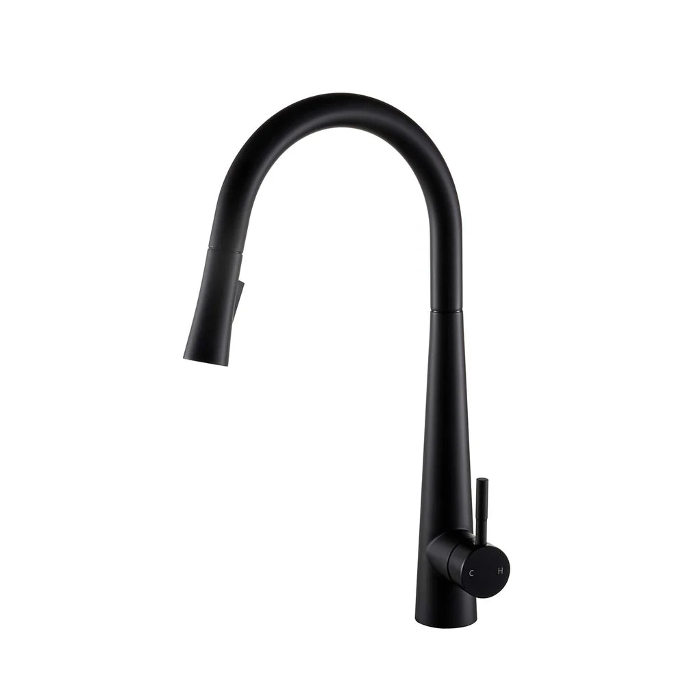 DAX Salerno Single Handle Pull Out Kitchen Faucet