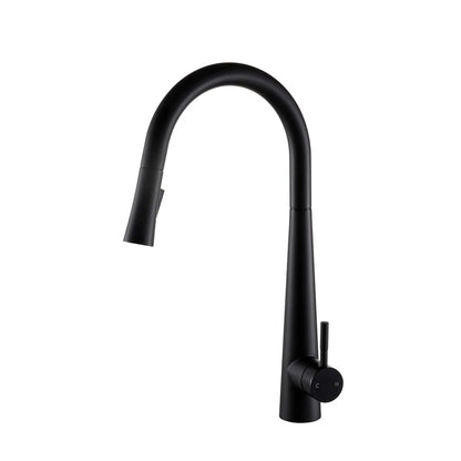 DAX Salerno Single Handle Pull Out Kitchen Faucet