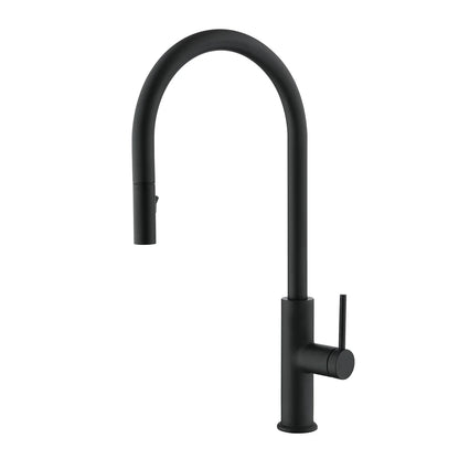 DAX Single Handle Pull Down Kitchen Faucet (DAX-8020058)