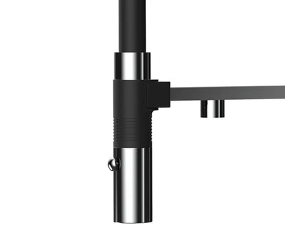 Dax Dual Function Pull Out and Filter Water Spout Brass Body (DAX-8020094)