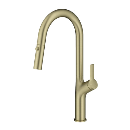 DAX Single Handle Pull Out Kitchen Faucet (DAX-8219) Sale price