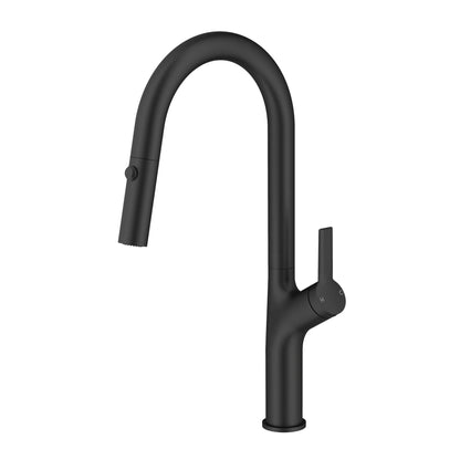 DAX Single Handle Pull Out Kitchen Faucet (DAX-8219) Sale price