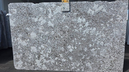Magnific White