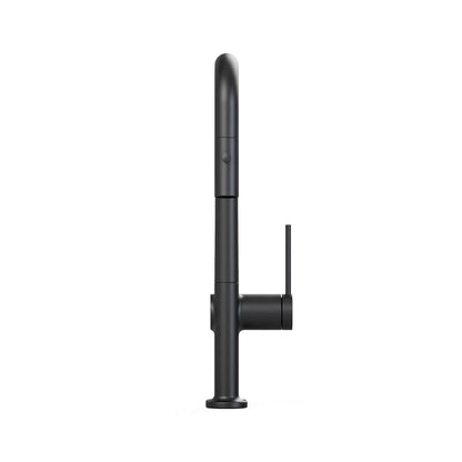 DAX Single Handle Pull Out Kitchen Faucet (DAX-8020007)